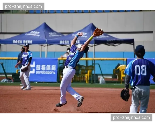 版权纠纷：一视频平台因非法转播垒球赛事遭WBSC起诉